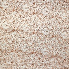 Digitaltryckt Muslin tyg - Stain, camel