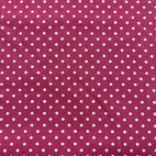 Canvas - Prickar Cerise