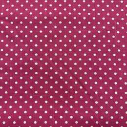 Canvas - Prickar Cerise