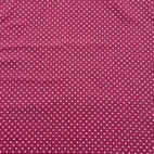 Canvas - Prickar Cerise