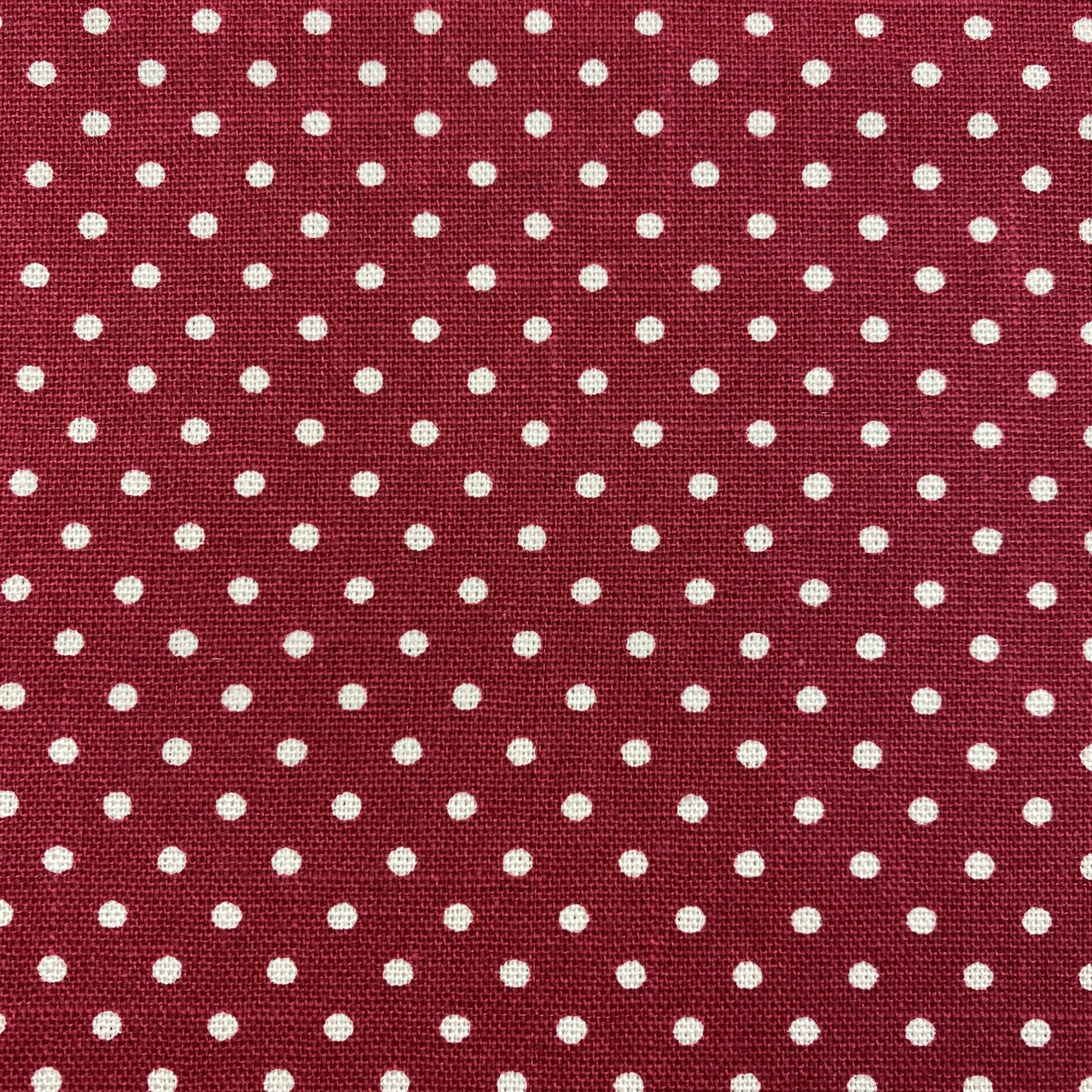 Canvas - Prickar Röd