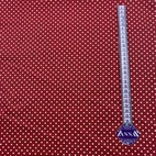 Canvas - Prickar Röd