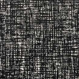 Canvas - Ivan Svart