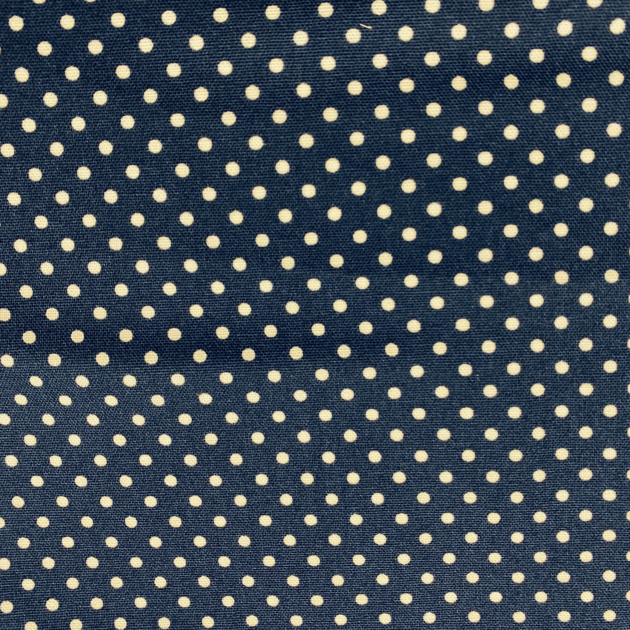 Canvas - Mörkblå Prick