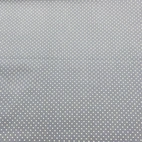 Canvas - Dusty Blue Prick