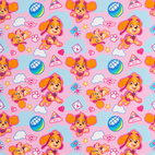 Paw patrol - Sky