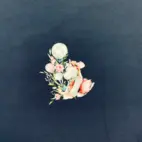 Paneler Newborn - liten flodhäst