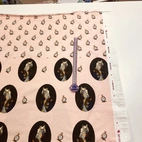 Panel - Zebra in uniform, pink