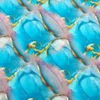 Amazonit - Zelected By ZannaZ