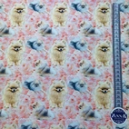 Holly, pomeranian - Zelected By ZannaZ