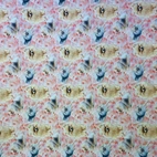 Holly, pomeranian - Zelected By ZannaZ