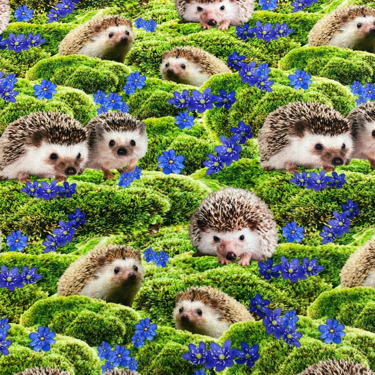 Igelkottar & blåsippor - Zelected By ZannaZ