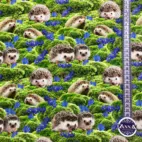 Igelkottar & blåsippor - Zelected By ZannaZ