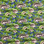 Igelkottar & blåsippor - Zelected By ZannaZ