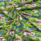 Igelkottar & blåsippor - Zelected By ZannaZ