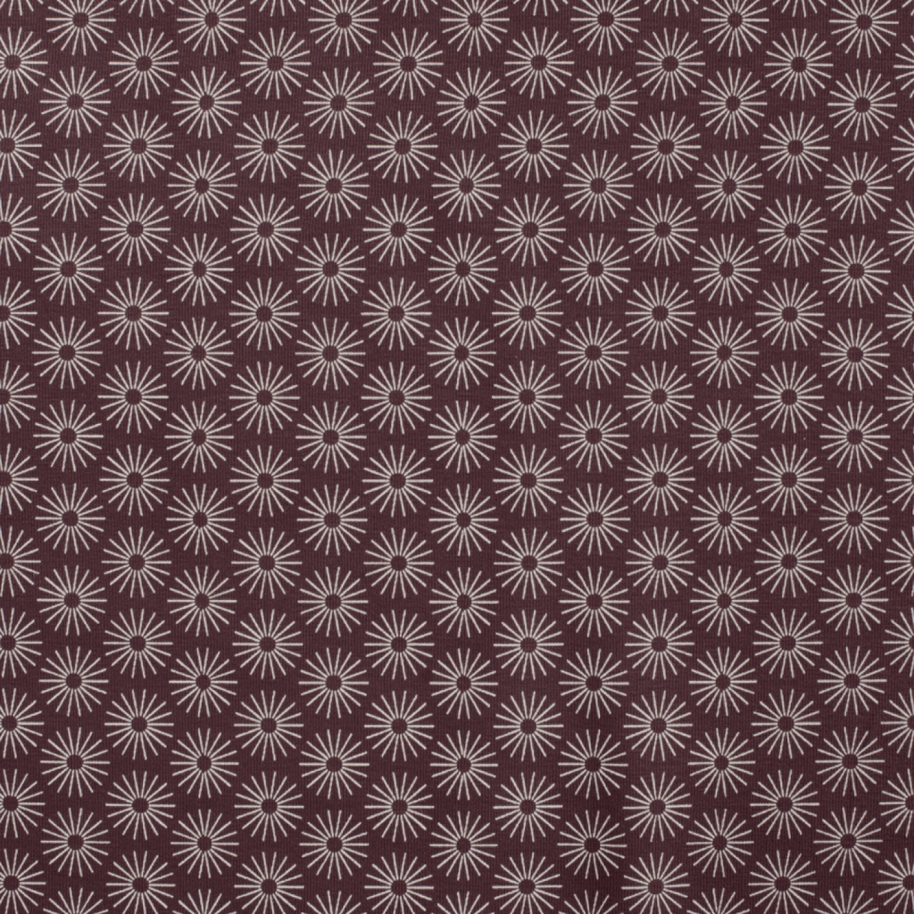 Pyret, Daisy - Mauve