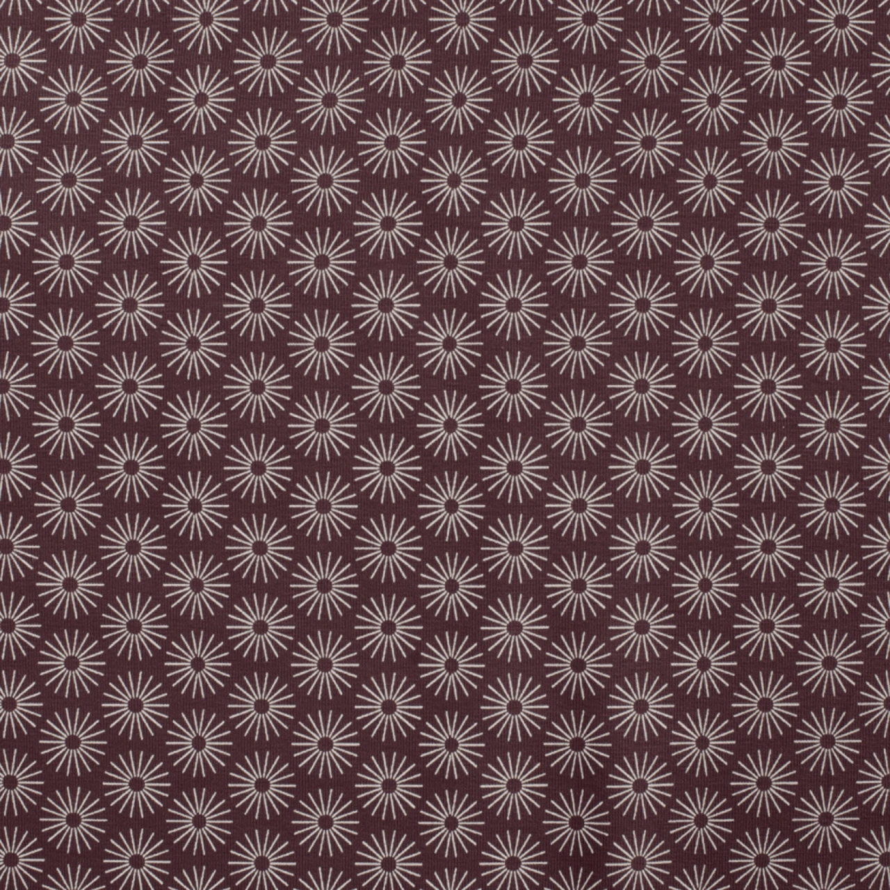 Pyret, Daisy - Mauve