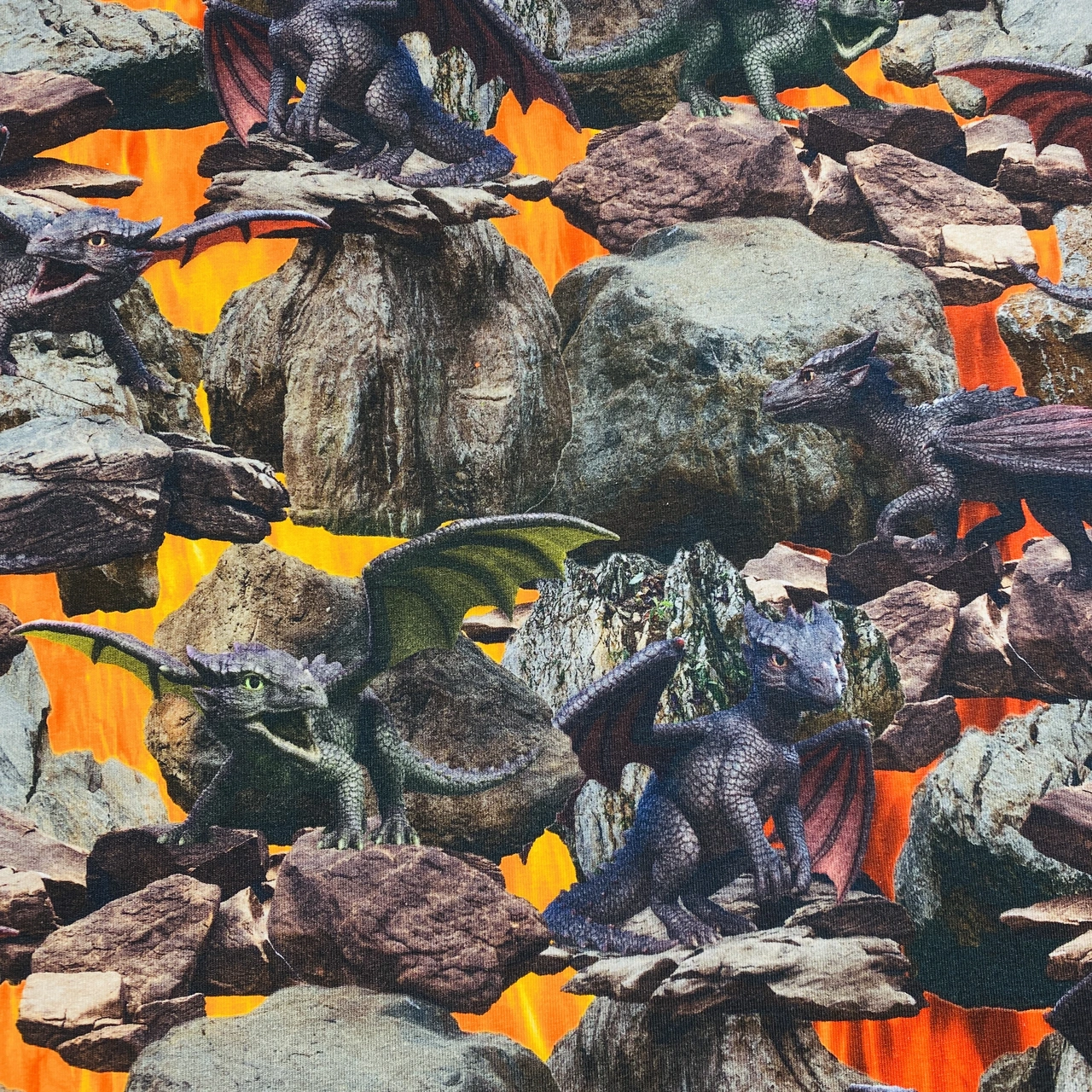 Dragon - Jersey fabric