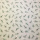 Combo-Baby Cat - Jersey Fabric