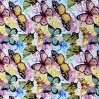 Vackra fjärilar - Zelected By ZannaZ