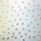 Crown, silverfolie print  - Trikåtyg