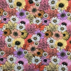 Botilda - Zelected By ZannaZ