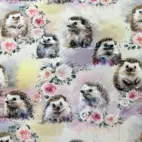 Cute Hedehog & Roses - Zelected By ZannaZ