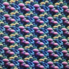 Underwater garden - Zelected By ZannaZ