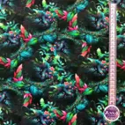 Odd eyed Cat - Zelected By ZannaZ