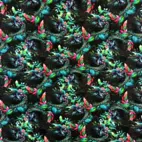 Odd eyed Cat - Zelected By ZannaZ