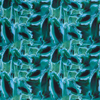 Ocean - Sportlycra