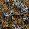Leoparder - Trikåtyg