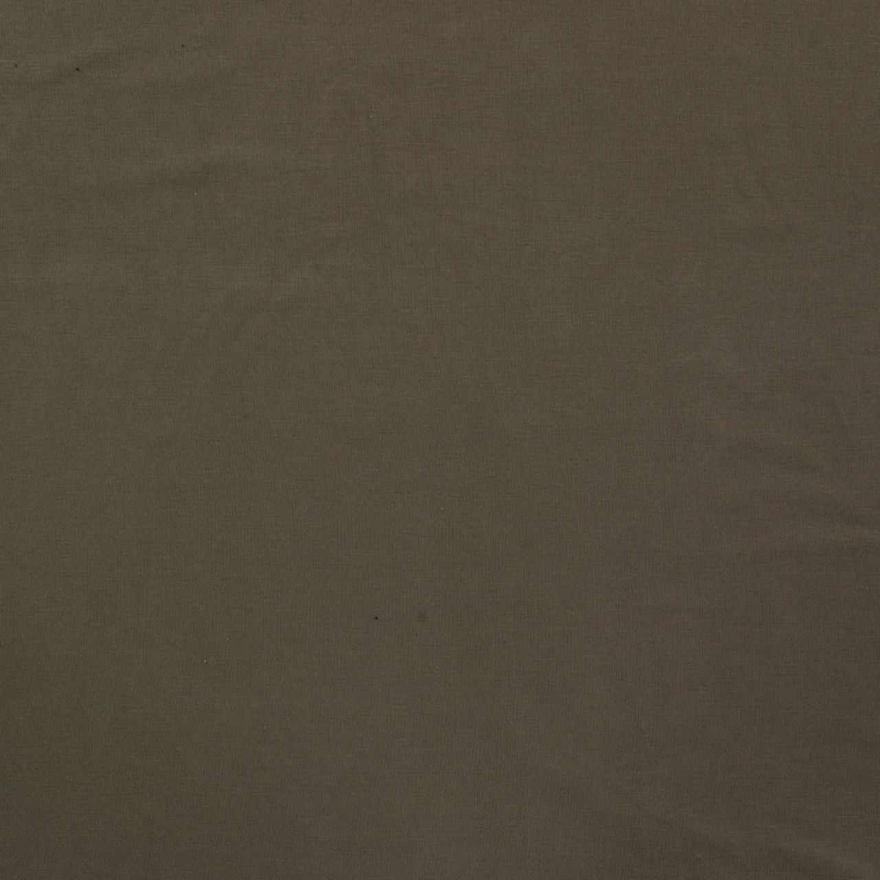 Khaki - Modal jersey