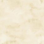 Cloudy, Cream - Zelected By ZannaZ