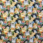 Katter i blomsterhav - Zelected By ZannaZ