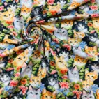 Katter i blomsterhav - Zelected By ZannaZ