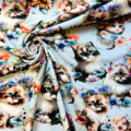 Sweet Kittens in Bloom - Zelected By ZannaZ