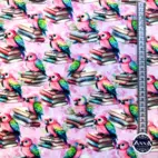 Cute parrot on books - Zelected By ZannaZ