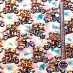 Bear on ride - Zelected By ZannaZ