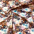 Bear on ride - Zelected By ZannaZ