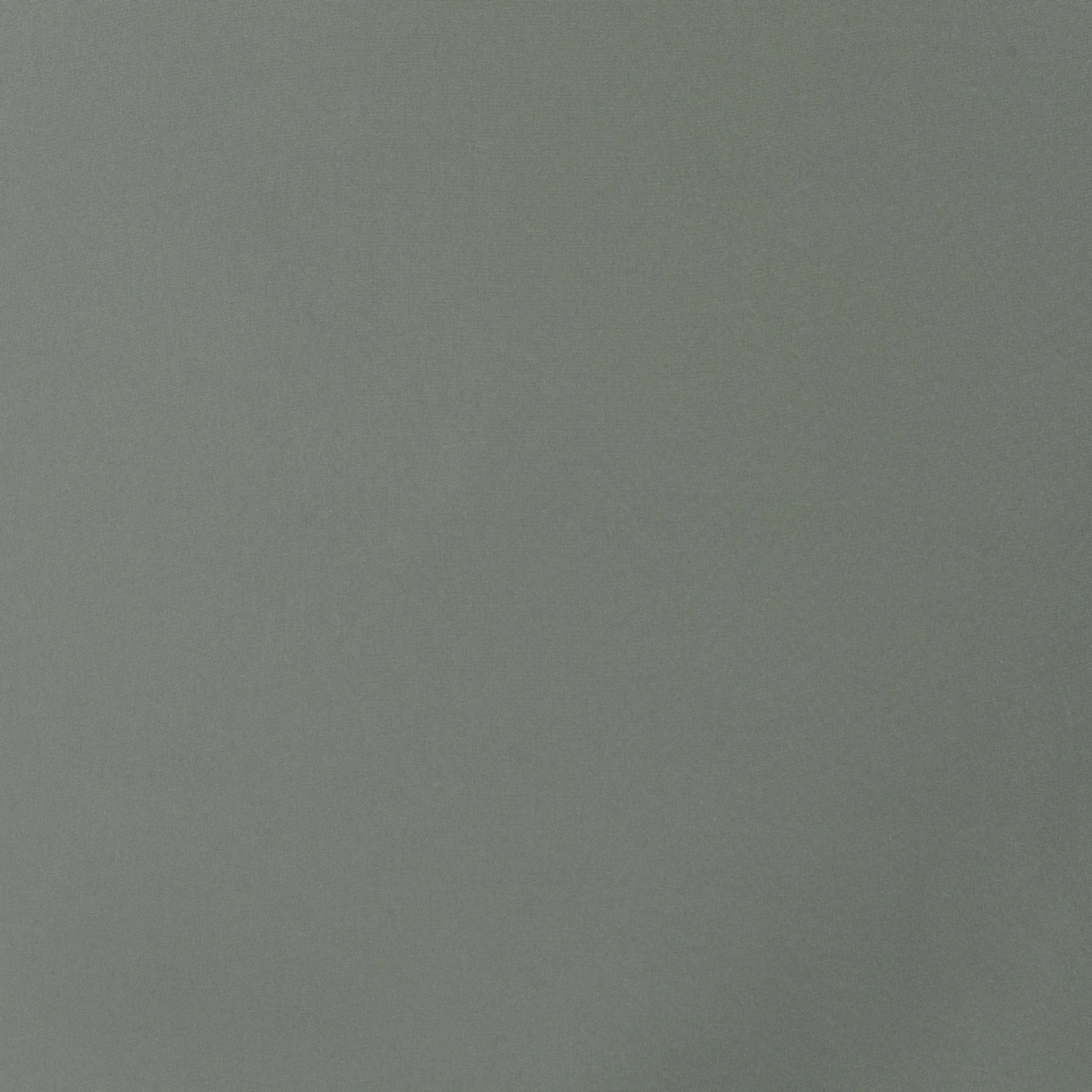 Softshell - Dusty Mint