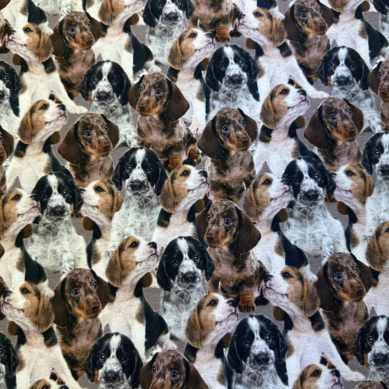 Alot of dogs - Trikåtyg