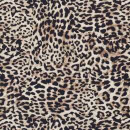 Leopard - Sportlycra