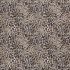 Leopard - Sportlycra