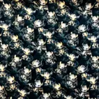 Baby Bat - Zelected By ZannaZ