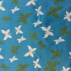 Molly -Turkos fjäril