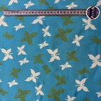 Molly -Turkos fjäril