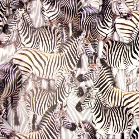 Skinnimitation Zebra