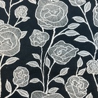Molly - Rosa