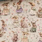 Söta kaniner - Jogging